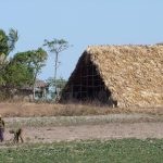 Табак 123 в Краснодаре - Купить Кальянный Табак с Доставкой на Дом images237.jpg